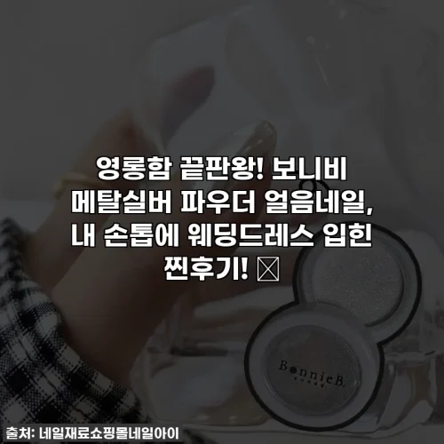 Home 56 영롱함 끝판왕! 보니비 메탈실버 파우더 얼음네일, 내 손톱에 웨딩드레스 입힌 찐후기! ✨