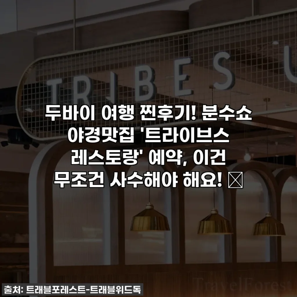 두바이 여행 찐후기! 분수쇼 야경맛집 '트라이브스 레스토랑' 예약, 이건 무조건 사수해야 해요! ✨