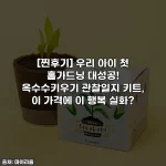 [찐후기] 우리 아이 첫 홈가드닝 대성공! 옥수수키우기 관찰일지 키트, 이 가격에 이 행복 실화?