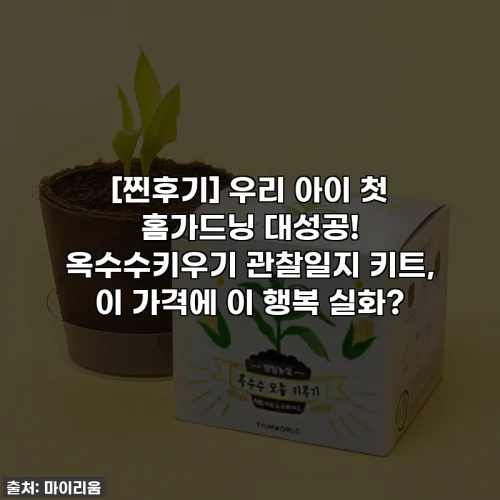 [찐후기] 우리 아이 첫 홈가드닝 대성공! 옥수수키우기 관찰일지 키트, 이 가격에 이 행복 실화?