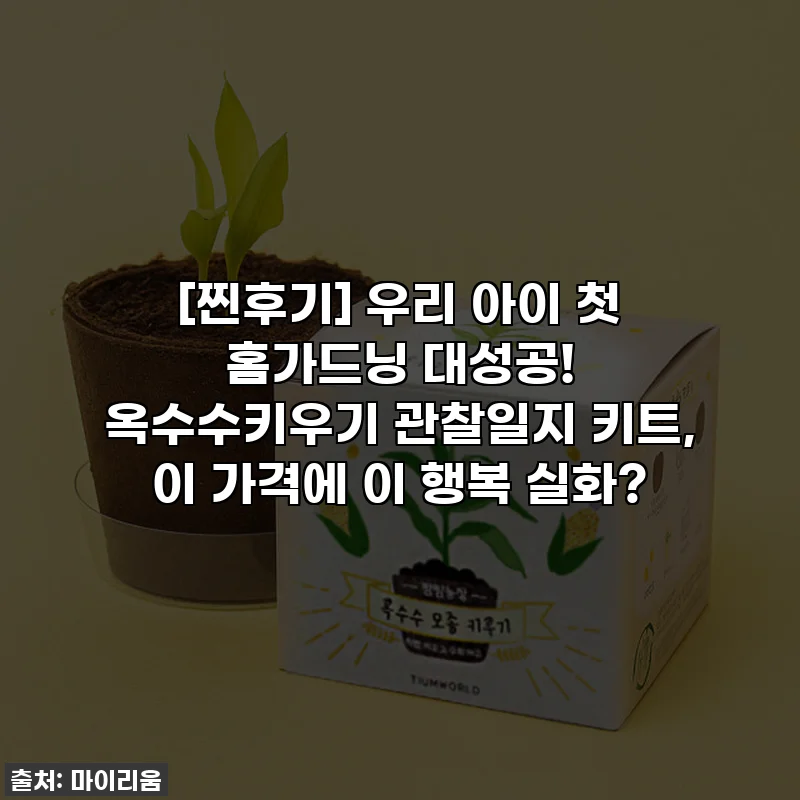 [찐후기] 우리 아이 첫 홈가드닝 대성공! 옥수수키우기 관찰일지 키트, 이 가격에 이 행복 실화?