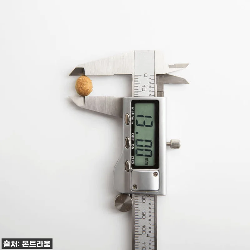 입짧은 강아지도 허겁지겁! 카르나4 관련 이미지 1