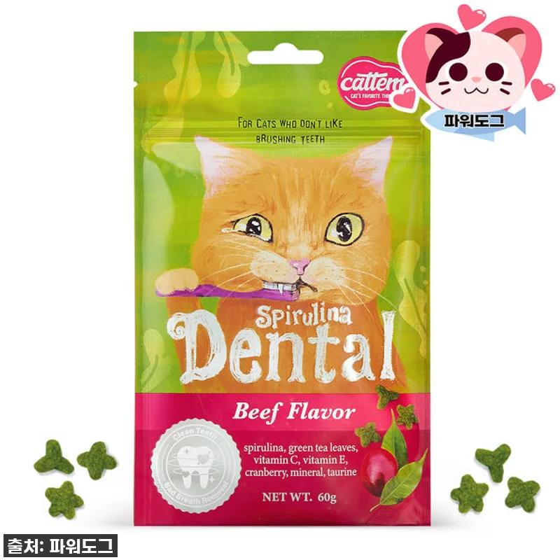 냥냥이도 반한 찐후기! 캣템 스피루리 관련 이미지 1