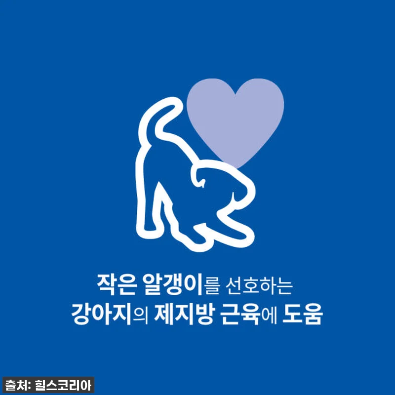 품절임박? 우리 집 댕댕이 장 건강 관련 이미지 1