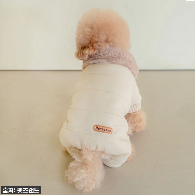 🔥품절임박🔥 우리 강아지 겨울 필수템 관련 이미지 1