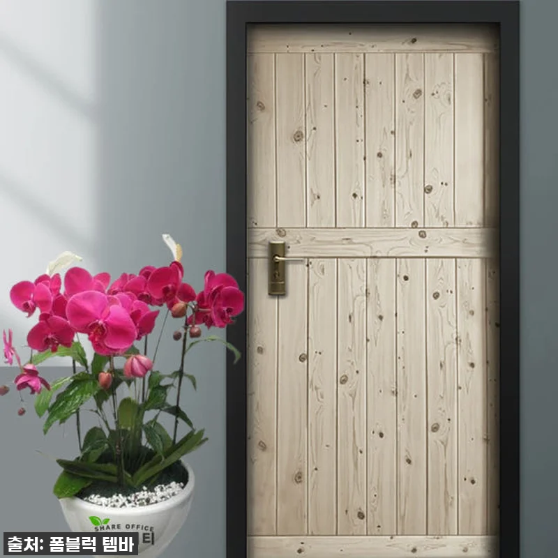 이슈템 떴다! 칙칙했던 우리 집이 호 관련 이미지 1