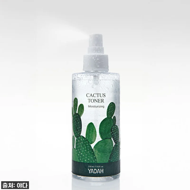 🌵 인생템 등극! 야다 비건 선인장 관련 이미지 1