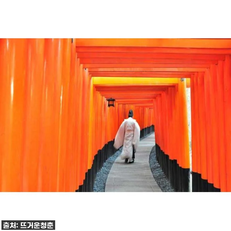 오사카에서 교토 당일치기, 이런 꿀조 관련 이미지 1