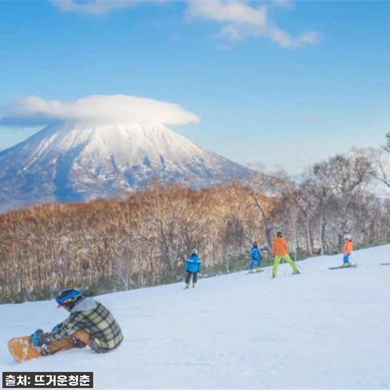 홋카이도 하코다테 여행 찐후기: 85 관련 이미지 2