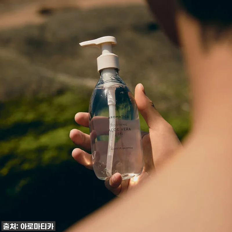 여름 필수템? 사계절 인생템 등극! 관련 이미지 2