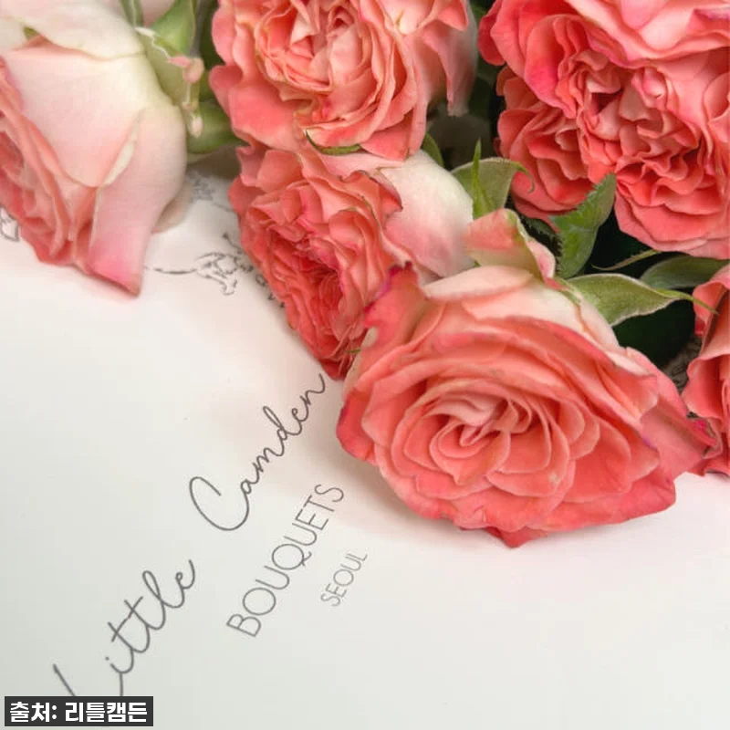 이 가격 실화?! 리틀캠든 페어플 장 관련 이미지 2