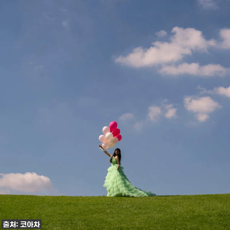 ✨ 품절임박! 인생샷 보장! 다프네 관련 이미지 2