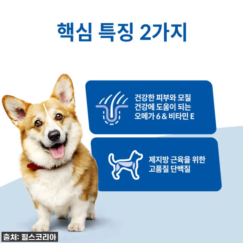 품절임박? 우리 집 댕댕이 장 건강 관련 이미지 2