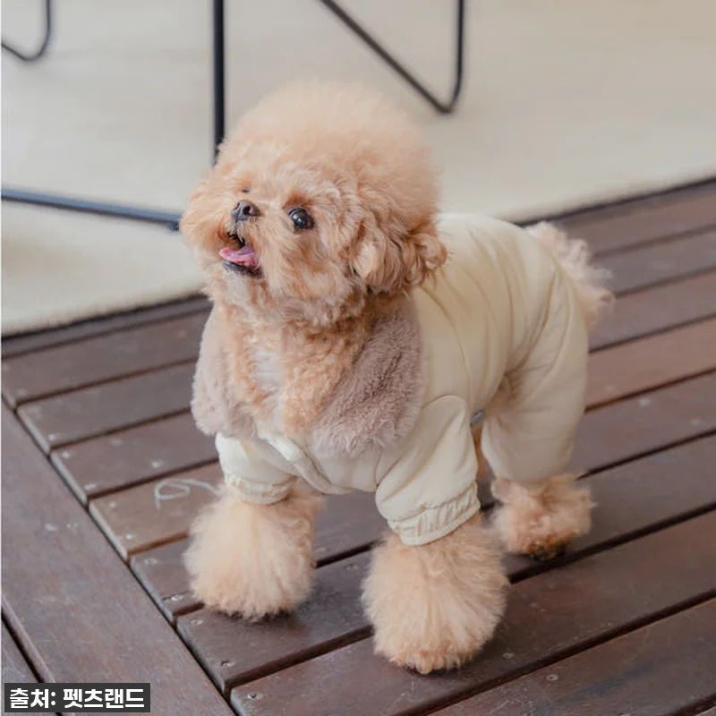 🔥품절임박🔥 우리 강아지 겨울 필수템 관련 이미지 2