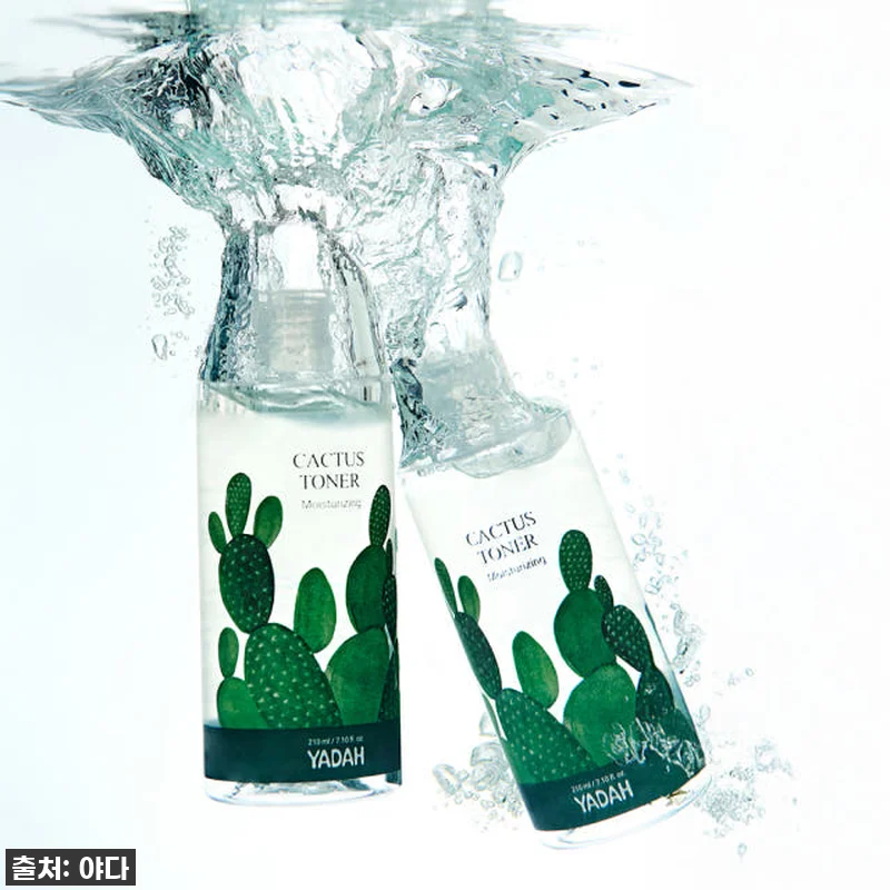 🌵 인생템 등극! 야다 비건 선인장 관련 이미지 2