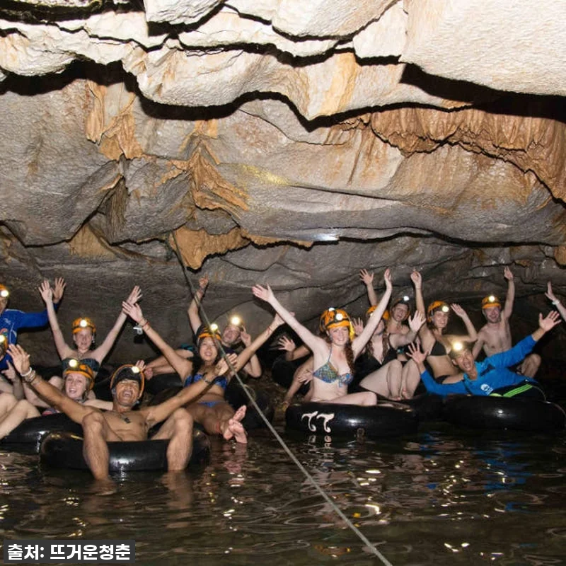 인생 역대급 발견! 95% 할인가로 관련 이미지 2