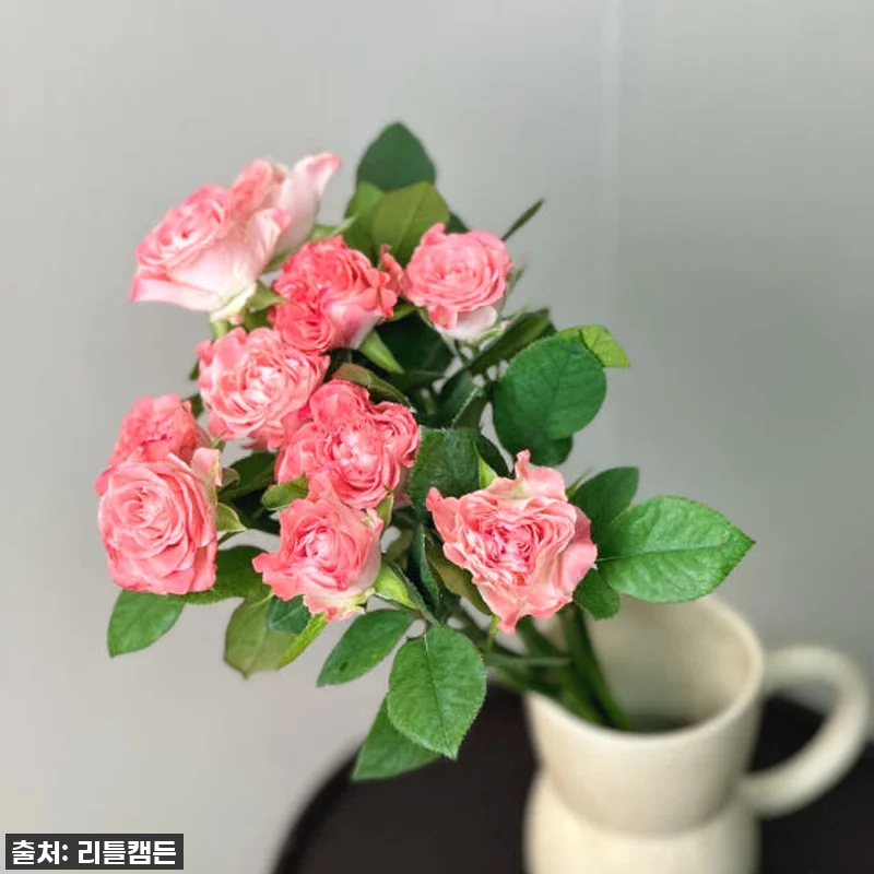 이 가격 실화?! 리틀캠든 페어플 장 관련 이미지 3