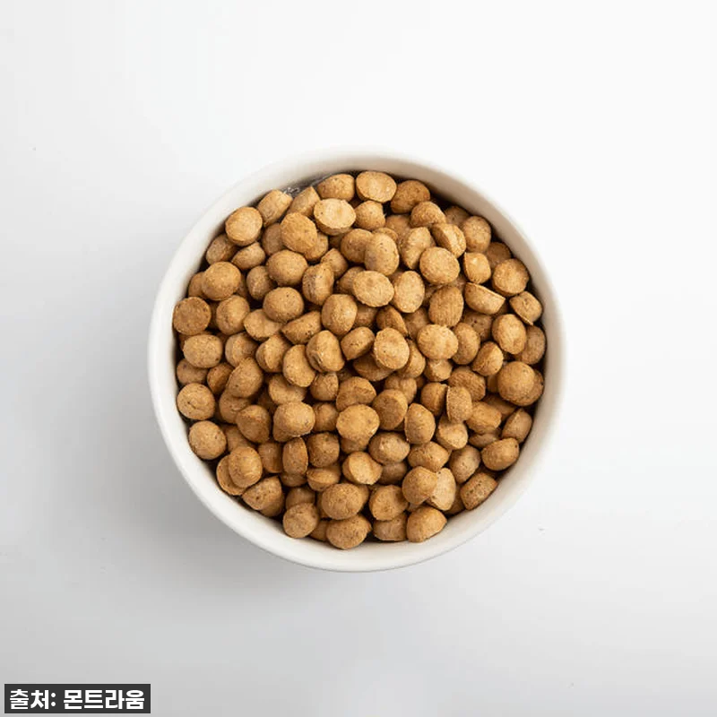 입짧은 강아지도 허겁지겁! 카르나4 관련 이미지 3