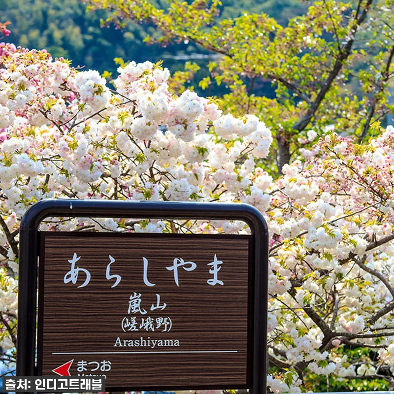 오사카 교토 일일 버스투어, 인생샷과 관련 이미지 3