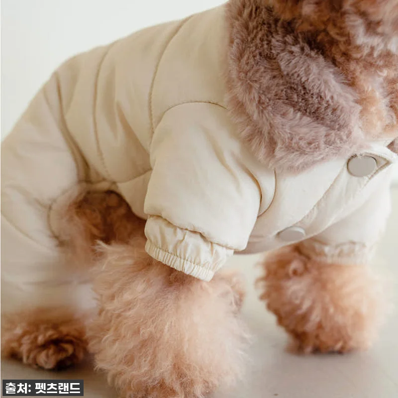 🔥품절임박🔥 우리 강아지 겨울 필수템 관련 이미지 3