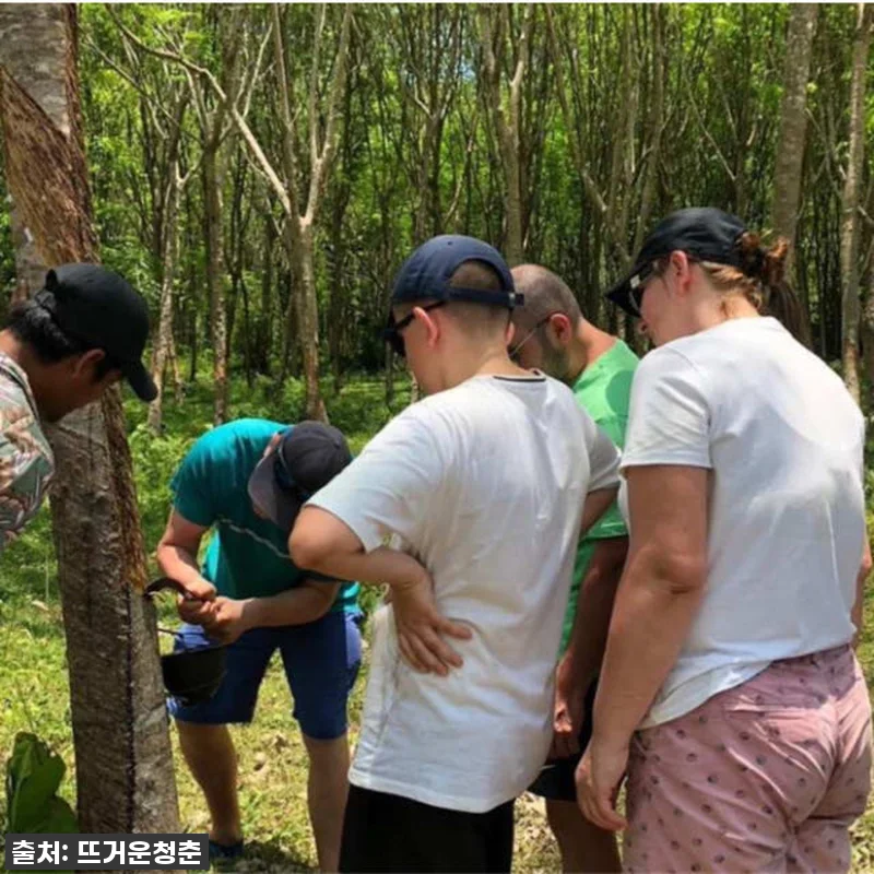 태국 Khlong Nam Sai에서 관련 이미지 3