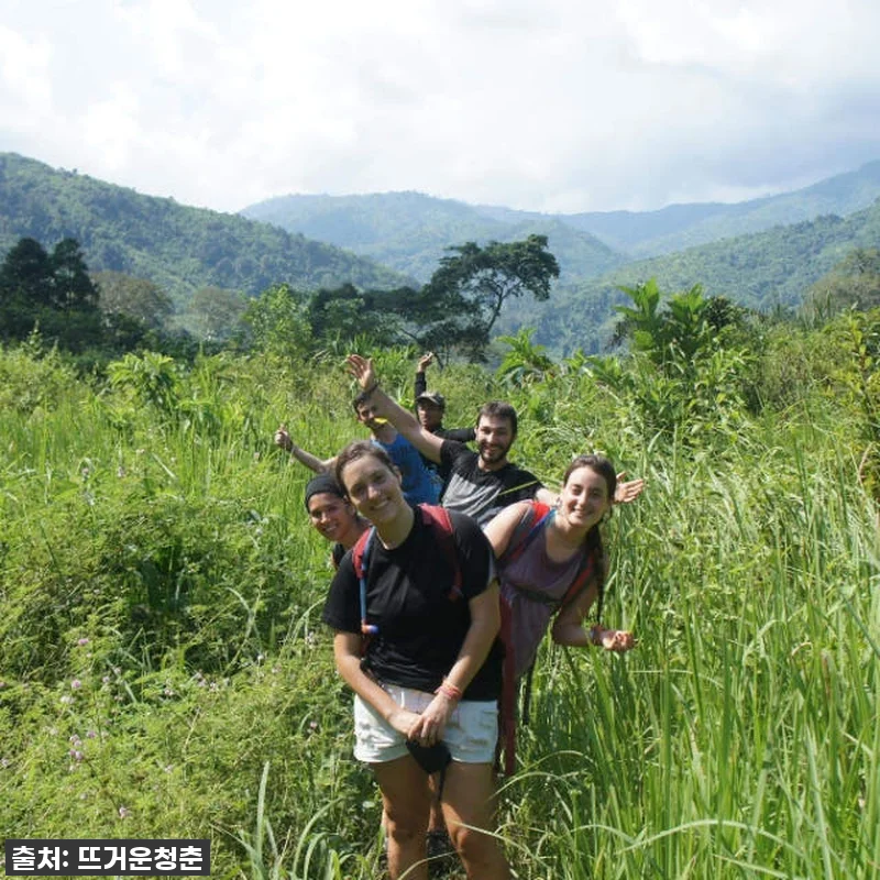 인생 역대급 발견! 95% 할인가로 관련 이미지 3