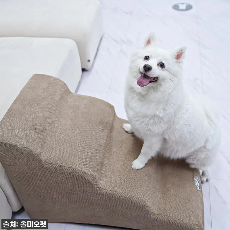 우리집 댕댕이 관절 지킴이! 올미오펫 강아지 계단 찐사용 후기 (feat. 슬개골 걱정 끝!) 12 우리집 댕댕이 관절 지킴이! 올미오펫 관련 이미지 4