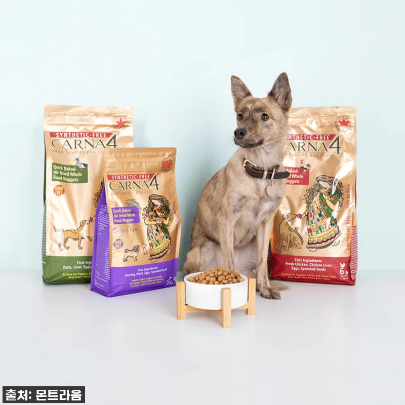 입짧은 강아지도 허겁지겁! 카르나4 관련 이미지 4