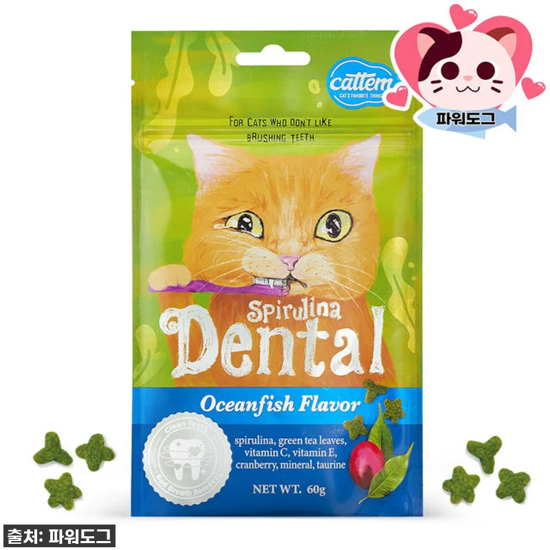 냥냥이도 반한 찐후기! 캣템 스피루리 관련 이미지 4