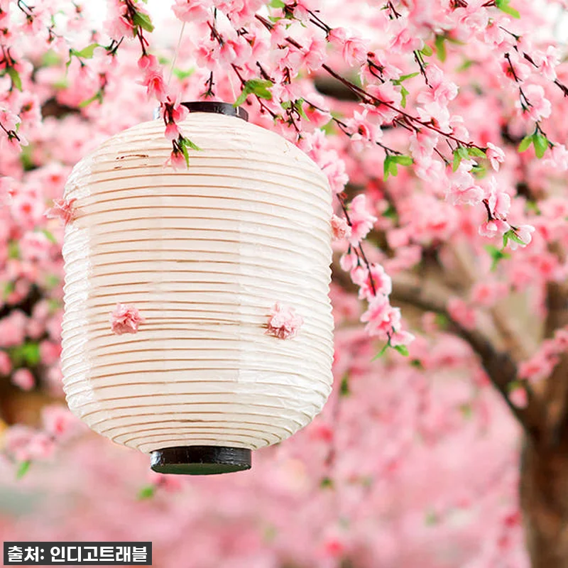 오사카 교토 일일 버스투어, 인생샷과 관련 이미지 4