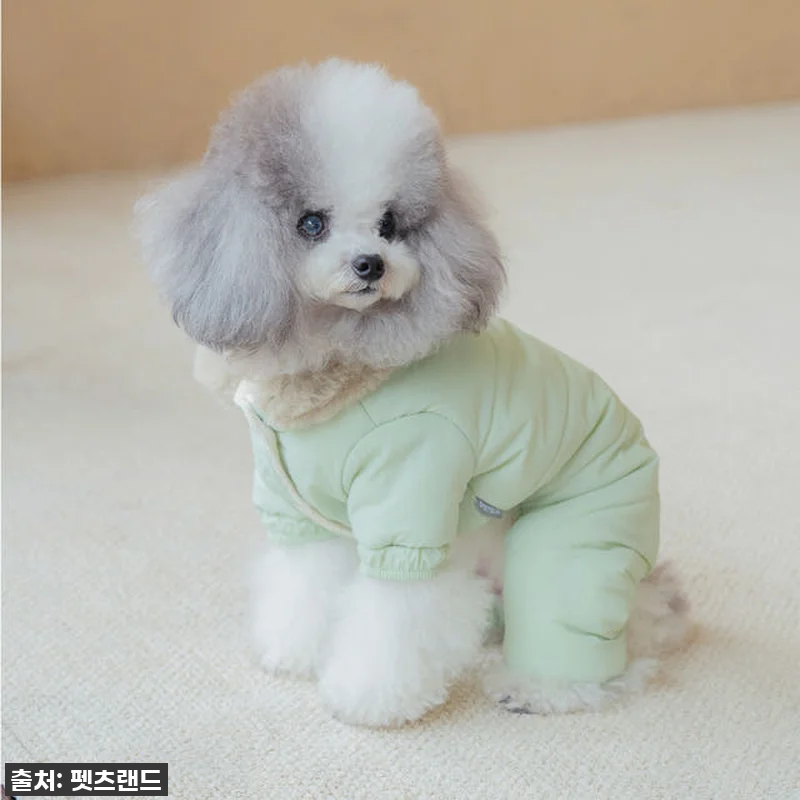 🔥품절임박🔥 우리 강아지 겨울 필수템 관련 이미지 4