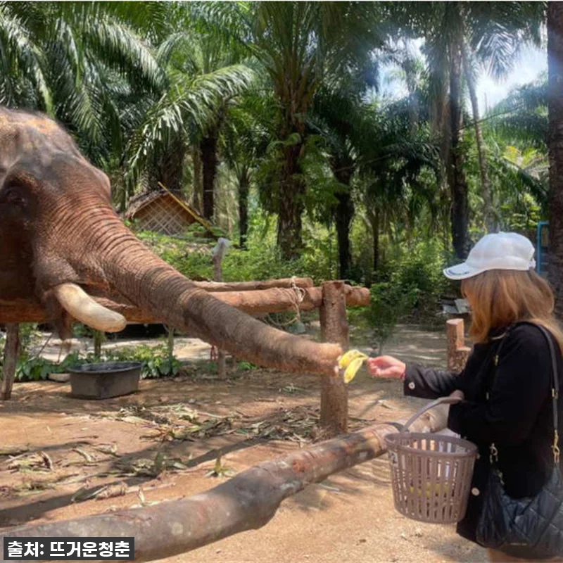 태국 Khlong Nam Sai에서 관련 이미지 4