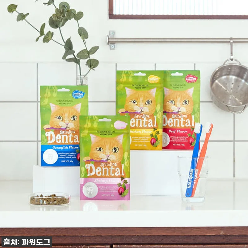 냥냥이도 반한 찐후기! 캣템 스피루리 관련 이미지 5