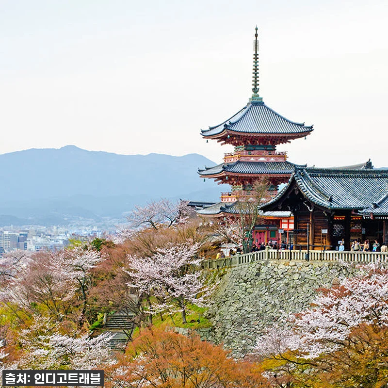 오사카 교토 일일 버스투어, 인생샷과 관련 이미지 5