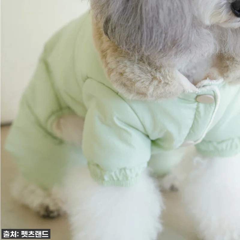 🔥품절임박🔥 우리 강아지 겨울 필수템 관련 이미지 5