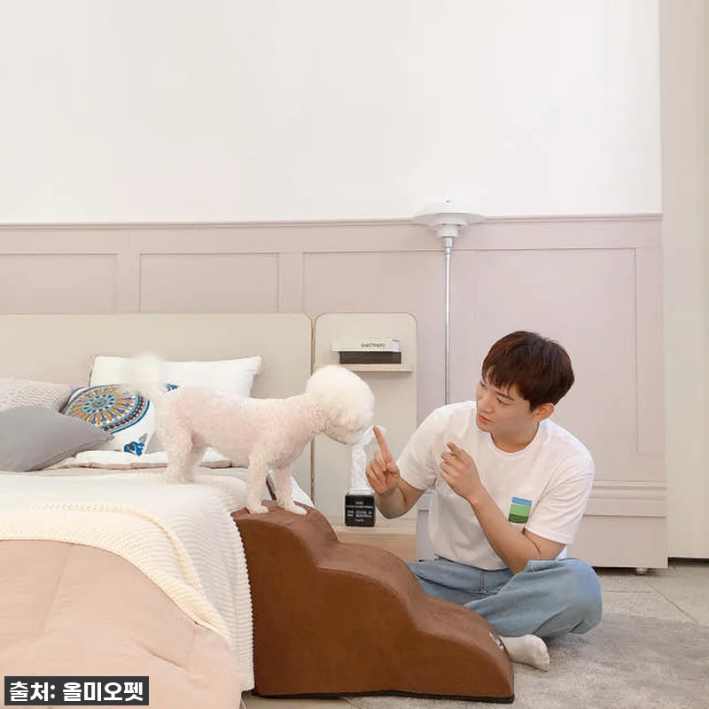 우리집 댕댕이 관절 지킴이! 올미오펫 강아지 계단 찐사용 후기 (feat. 슬개골 걱정 끝!) 14 우리집 댕댕이 관절 지킴이! 올미오펫 관련 이미지 6