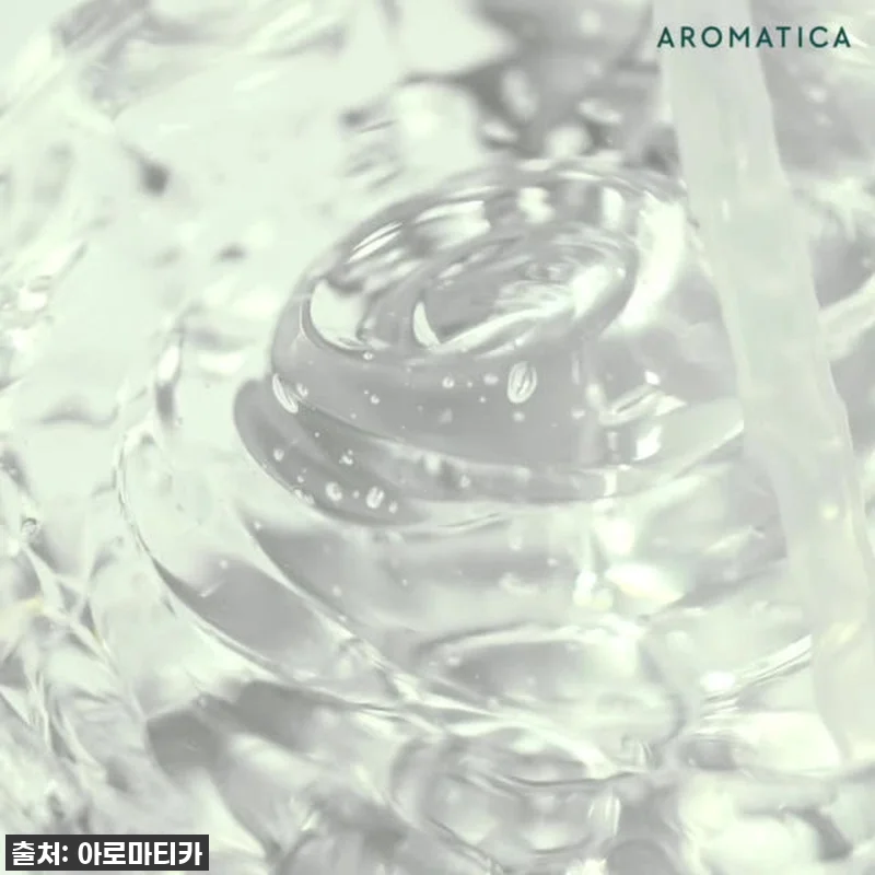 여름 필수템? 사계절 인생템 등극! 관련 이미지 6