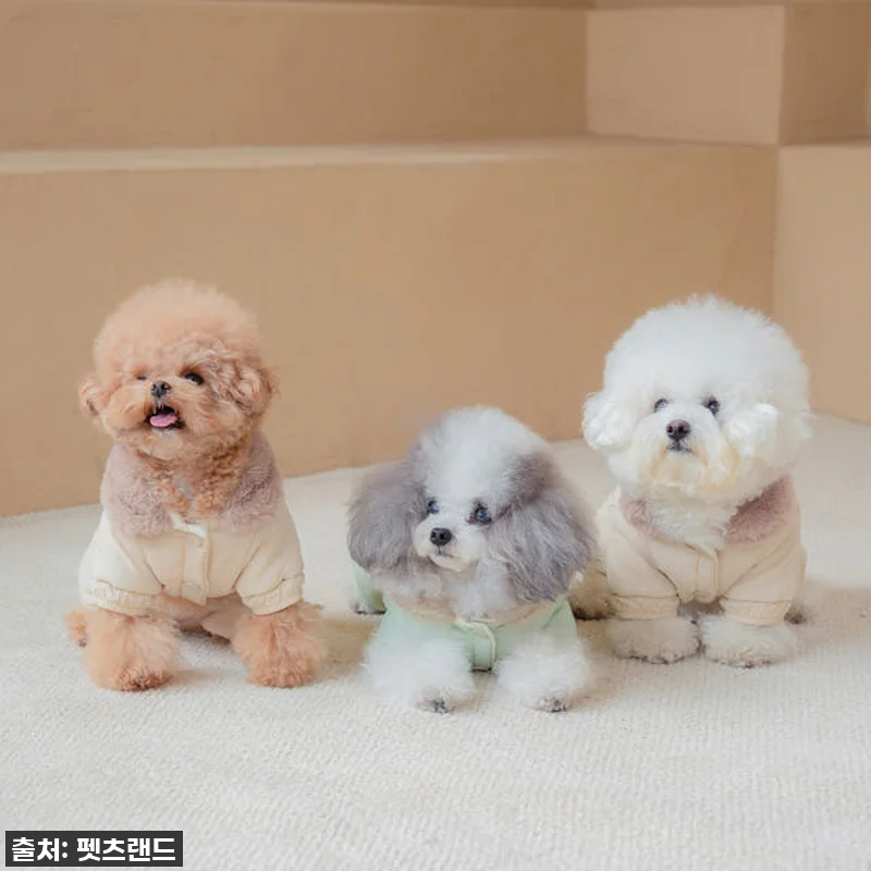 🔥품절임박🔥 우리 강아지 겨울 필수템 관련 이미지 6