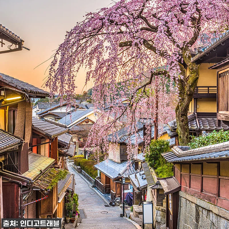 오사카 교토 일일 버스투어, 인생샷과 관련 이미지 7