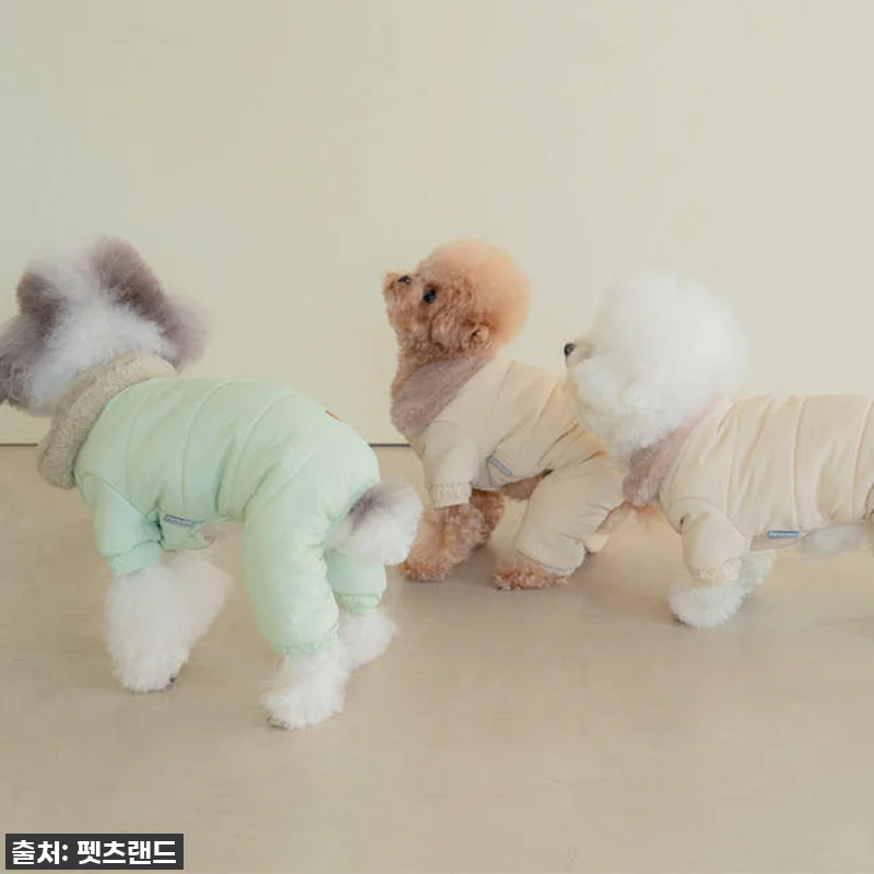 🔥품절임박🔥 우리 강아지 겨울 필수템 관련 이미지 7