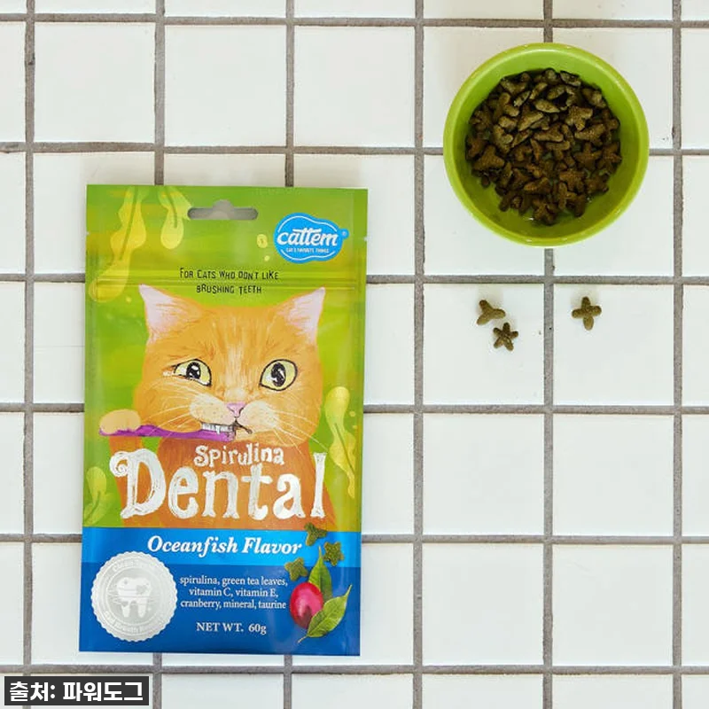 냥냥이도 반한 찐후기! 캣템 스피루리 관련 이미지 8