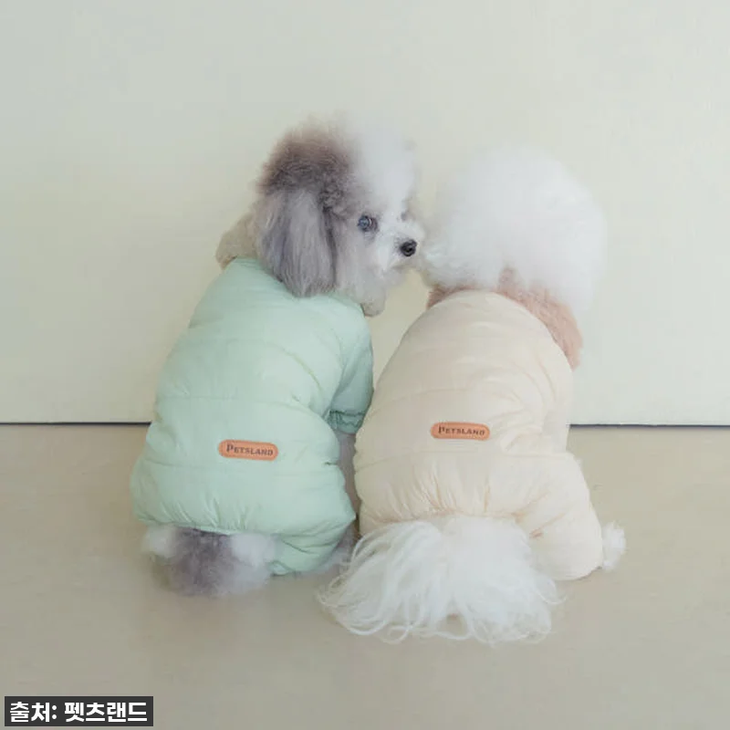 🔥품절임박🔥 우리 강아지 겨울 필수템 관련 이미지 8