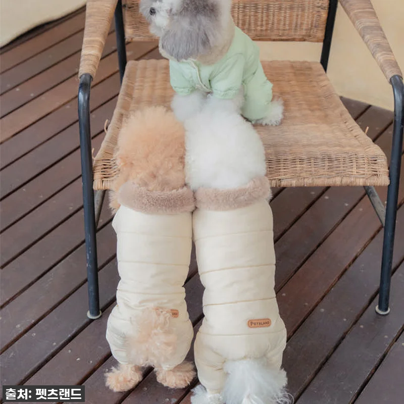 🔥품절임박🔥 우리 강아지 겨울 필수템 관련 이미지 9