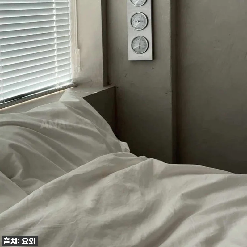 이슈템 찐후기! 감성 인테리어 끝판왕 관련 이미지 10