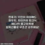 찐후기: 11인치 아이패드 파우치, 치이카와 피크닉 에디션! 중고등학생 입학선물로 무조건 강추해요!