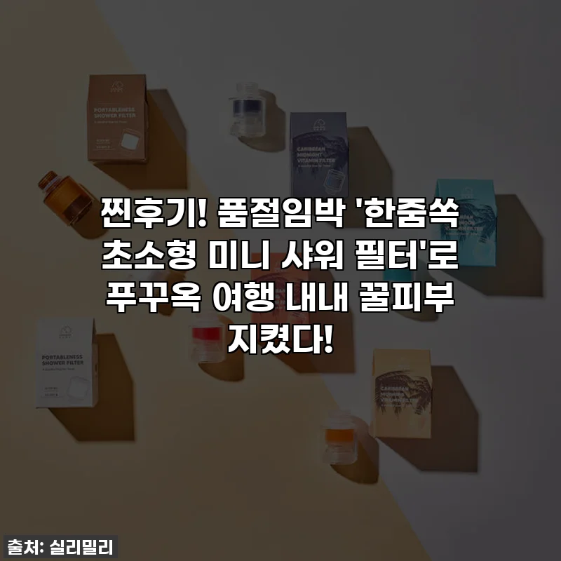 찐후기! 품절임박 '한줌쏙 초소형 미니 샤워 필터'로 푸꾸옥 여행 내내 꿀피부 지켰다!