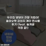 우리집 댕댕이 관절 지킴이! 올미오펫 강아지 계단 찐사용 후기 (feat. 슬개골 걱정 끝!)