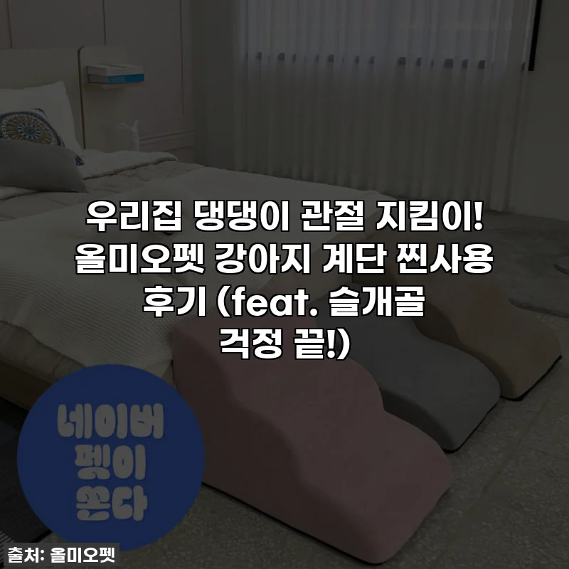 우리집 댕댕이 관절 지킴이! 올미오펫 강아지 계단 찐사용 후기 (feat. 슬개골 걱정 끝!)