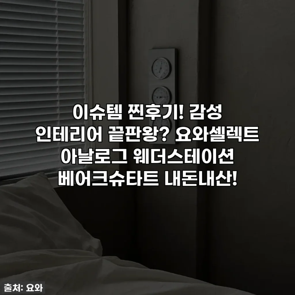 이슈템 찐후기! 감성 인테리어 끝판왕? 요와셀렉트 아날로그 웨더스테이션 베어크슈타트 내돈내산!