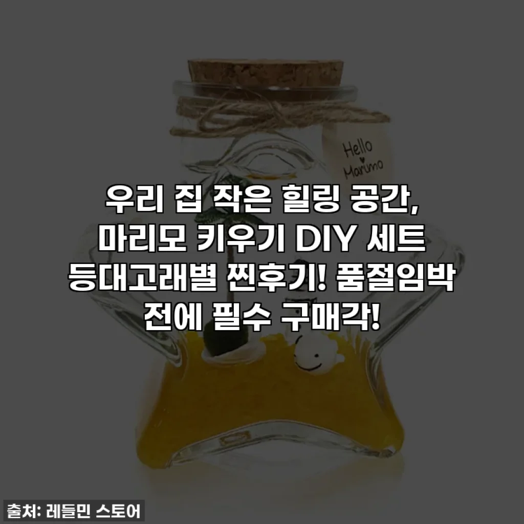 우리 집 작은 힐링 공간, 마리모 키우기 DIY 세트 등대고래별 찐후기! 품절임박 전에 필수 구매각!